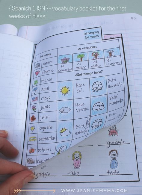 Beginning of the year vocabulary booklet in our Spanish interactive notebooks. Section 4: Vocabulary Spanish Interactive Notebook Free, Spanish Notebook, Spanish Interactive Notebook, Teach Vocabulary, Spanish Classroom Activities, Spanish Curriculum, Middle School Spanish, Learn Spanish Online, Seasons Months