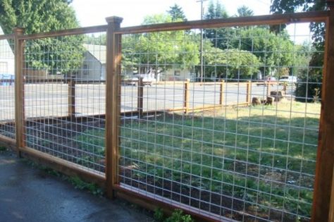 Do you need a fence that doesn't make you broke? Learn how to build a fence with this collection of 27 DIY cheap fence ideas. Fence Tattoo, Fence Drawing, Wire Fence Panels, Hedge Fence, Fence Extension, Hog Wire Fence, Timber Fence, Balcony Fence, Welded Wire Fence