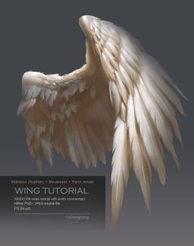 Wing Tutorial by yuchenghong Wing Anatomy, Winged People, Wings Drawing, Siluete Umane, Wings Art, Bird Wings, Arte Fantasy, 판타지 아트, Angel Art