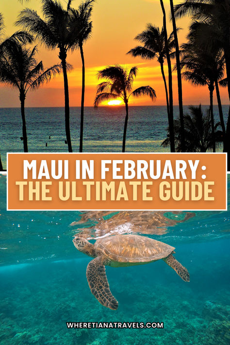 Escape to Maui this February! Our guide covers the best beaches, hikes, and cultural events. Experience winter paradise in Maui. Click for all the essential tips! Things To Do In Maui, Maui Island, Things To Pack, Trip To Maui, Cultural Events, Best Beaches, Maui, North America, What To Wear