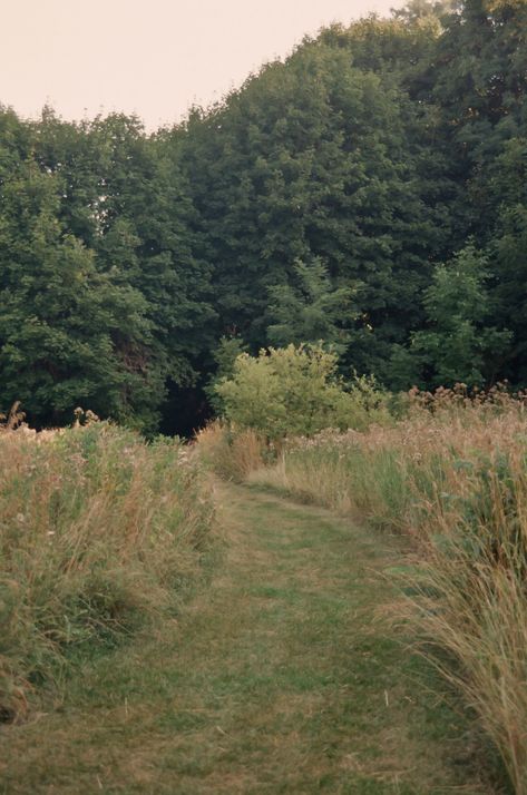 Old Film, Tree Tunnel, Rummage Sale, Film Photos, Nature Aesthetic, Pretty Places, Farm Life, Mother Earth, Summer Aesthetic