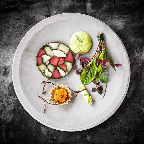 Terrine with lobster,  tuna and scallop. Ramson cream herb bouquet and tart with löjröm - dish by @mikkel_k_s  photo by @raisfoto by cookniche Terrine Plating, Herb Bouquet, Dream Food, Culinary Art, Best Dishes, Culinary Arts, Food Presentation, Food Plating, Amazing Food