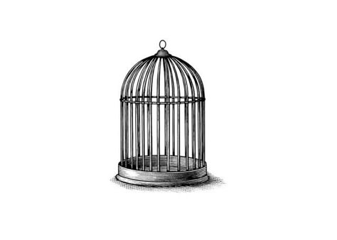 The cage to put Bellatrix in Fine Line Bird Cage Tattoo, Bird Cage Tattoo Design, Open Cage Tattoo, Bird Cage Tattoos, Bird Cage Painting, Bird Cage Illustration, Sunflower Wrist Tattoo, Bird Cage Drawing, Birdcage Drawing