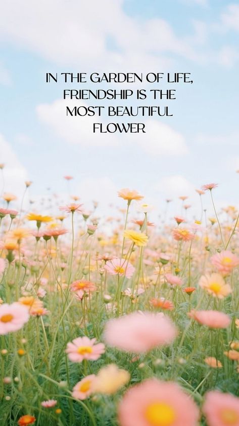 Friendship Flower, Facebook Story, Daisy Garden, Friendship Quote, Happy Life Quotes, About Friendship, Girl Friendship, Happy Books, Quote Template