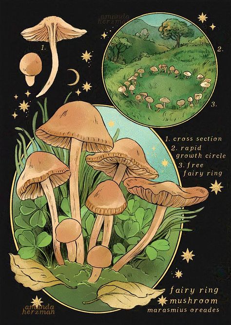 Fungi Illustration, Mushroom Wallpaper, Collage Book, Props Art, Nature Posters, Mushroom Design, The Mushroom, Mushroom Art, Plant Illustration