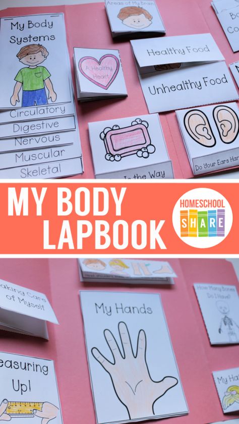 Human Body Lapbook Free, Human Body Art For Kids, My Body Lesson Plan, Hokey Pokey Song, Human Body Lapbook, Human Body Crafts, Human Body Lesson, Human Body Projects, Body Preschool