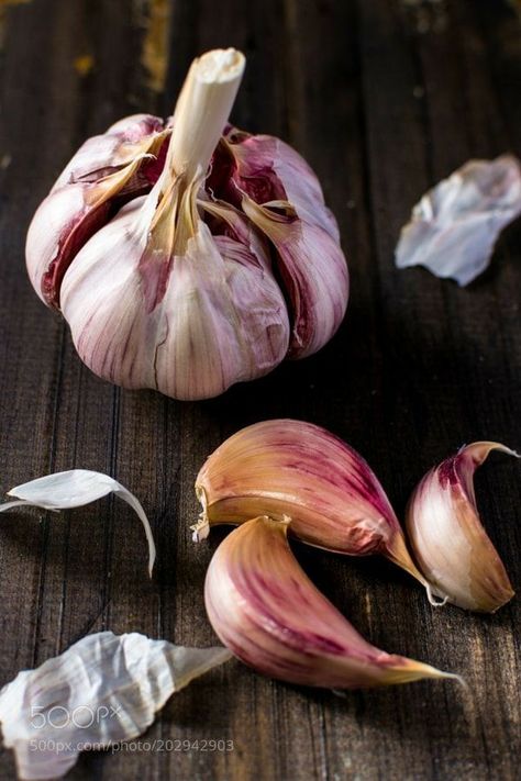 Garlic Photo, Vegetable Painting, Vegetables Photography, Vegetable Pictures, Dark Food Photography, Still Life Pictures, Food Art Photography, Still Life Fruit, Fruit Photography