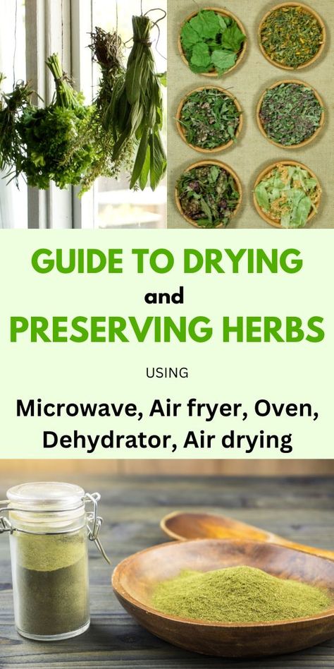 Learn how to dry and preserve herbs using microwaves, air friers, ovens, dehydrators, and air drying with this complete guide. Enjoy dried herbs with the best flavor when preserved fresh from the garden. Preserve Herbs, Dehydrating Food Storage, Drying Fresh Herbs, Herb Guide, Wild Food Foraging, Preserving Herbs, Herbal Remedies Recipes, Storing Fruit, Medicinal Herbs Garden