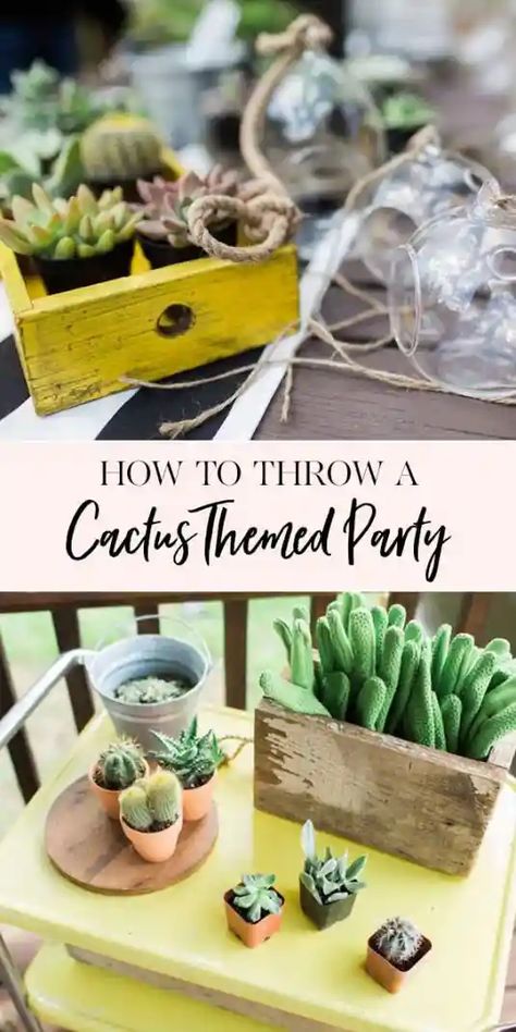 How to Plan the Perfect Terrarium Party Ladies Get Together Ideas, Get Together Ideas, Terrarium Party, Party Ideas Summer, Spring Party Ideas, Womens Event, Terraria Party, Party Food For Adults, Bday Themes