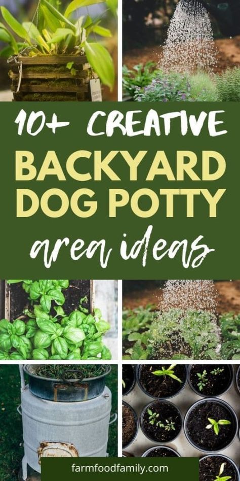 10 Creative Dog Potty Area Ideas for Your Backyard Oasis 22 Dogs Playground Backyard, Large Dog Potty Area Outside, Outdoor Dog Bathroom Area, Dogs Backyard Ideas, Backyard Potty Area For Dog, Dog Bathroom Area Outdoor Diy, Garden Dog Potty Area, Outdoor Potty Area For Dogs Ideas, Diy Dog Yard Ideas Backyards