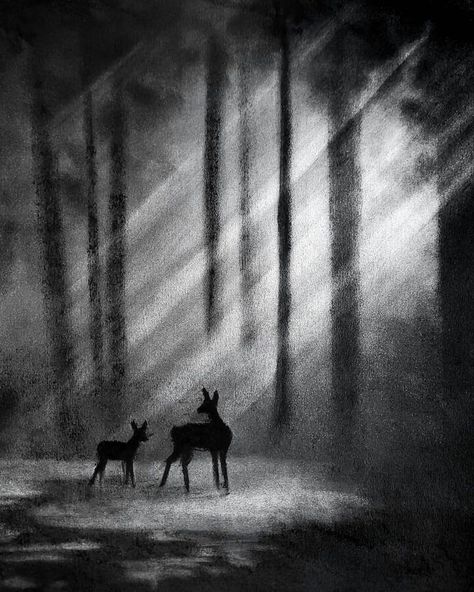 nighttime animal charcoal drawing Charcoal Ghost Drawing, Charcoal Fantasy Art, Art Inspiration Charcoal, Scenery Charcoal Drawing, Scary Charcoal Art, Subtractive Drawing Charcoal, Charcoal Art Scenery, Charcoal Nature Art, Graphite Pencil Drawings Landscapes