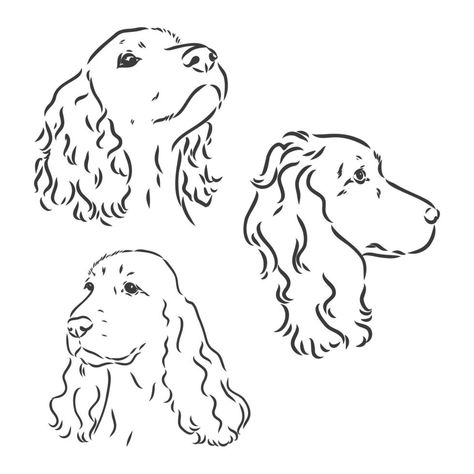 Graphics Black And White, Cocker Dog, Dog Drawing Tutorial, Sprocker Spaniel, Dog Line Drawing, Dog Memorial Tattoos, Spaniel Art, Dog Line Art, Working Cocker