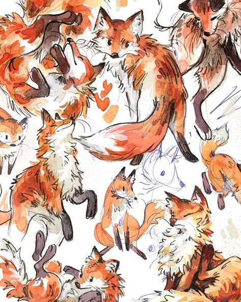 JelArts (@jelarts) • Instagram photos and videos Fox Drawing, Arte Sketchbook, Fox Art, Animal Sketches, Book Art Drawings, Cute Animal Drawings, Sketchbook Art Inspiration, Art Inspiration Drawing, Caricatures