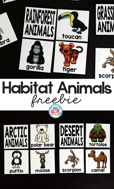 Habitat Activities, Puzzles Printable, Animal Lessons, 1st Grade Science, First Grade Science, Science Lesson, Science Lesson Plans, Kindergarten Lesson Plans, Kindergarten Lessons