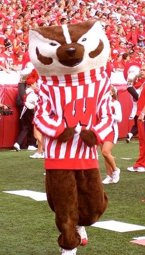 Wisconsin Badgers Football mascot Bucky Badger Wisconsin Pride, Wisconsin Badger, Wisconsin Badgers Football, Bucky Badger, Badger Football, Wisconsin Football, Uw Madison, Team Mascots, Madison Wisconsin