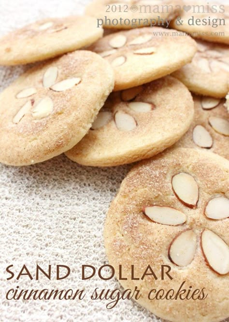 Sand Dollar Cookies, Cinnamon Sugar Cookies, Cinnamon Cookies, Think Food, Köstliche Desserts, Shark Week, Luau Party, Sand Dollar, Mermaid Birthday