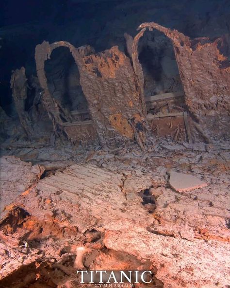 RMS Titanic Official™ on Instagram: “Overview of the RMS Titanic gymnasium taken on the 2010 mission to the ship's wreck. Image digitally constructed by Michał…” Photos Underwater, Underwater Shipwreck, Titanic Underwater, Real Titanic, Titanic Model, Titanic Wreck, Titanic Photos, Titanic Facts, Ship Wrecks