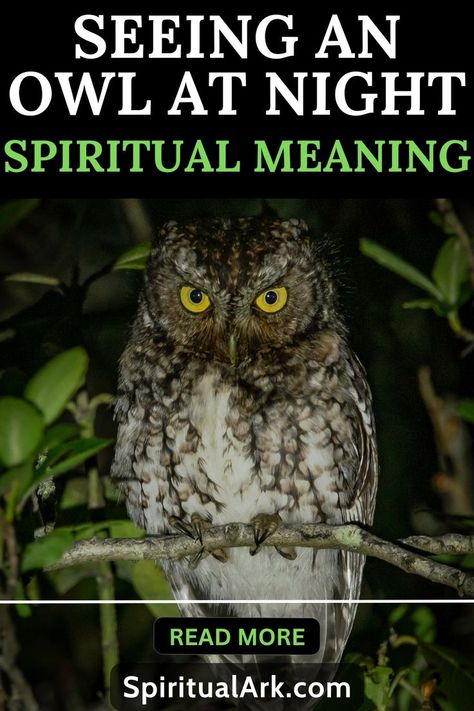 at the top of this post is the title that says, "seeing an owl at night, spiritual meaning", at the center of this post is a photo of an owl sitting on a branch of tree during nighttime, there is a thin white line that separates the main photo and the footer of this post, below the thin white line is a button which contains the words "read more", and at the very bottom of this post is the website source which is "SpiritualArk.com" Owl At Night, Owl Quotes, Spirit Animal Meaning, Animal Meanings, Dead Of Night, Animal Symbolism, Spiritual Truth, Hope Symbol, Spiritual Meaning