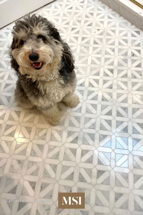 Filed under Bathrooms we Wuff! Advance Design Studio used Bianco Dolomite Geometrica Tile to create this contemporary bathroom. These gorgeous tiles are recommended for a wide range of design installations and are suitable to use as both backsplash tile and floor tile. Fan Tiles Bathroom, Fun Powder Room Floor Tile, Msi Tile Bathroom, Beautiful Bathroom Tile Ideas, Classic Tile Floor Kitchen, Greek Key Tile Bathroom, Small Bathroom Floor Tiles Ideas, Fun Laundry Room Tile Floor, Small Bathroom Pattern Tile Floor