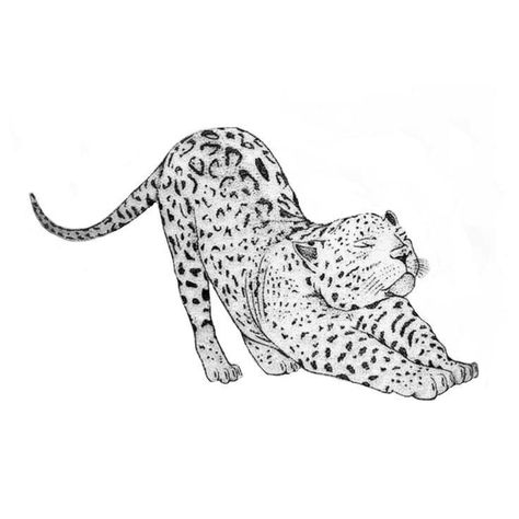 Good And Bad Side Tattoo, Fine Line Leopard Tattoo, Tiger Sketch Tattoo, Jaguar Tattoo For Women, Leapord Tattoo, Leopard Coloring Pages, Tattoo Leopard, Cheetah Tattoo, Big Cat Tattoo