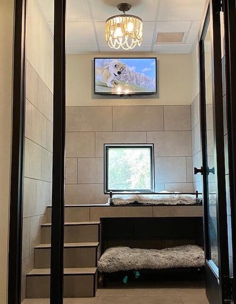 Dog Hotel Design, Dog Hotel Rooms, Luxury Dog Room, Dog Bedrooms, Dog Daycare Design, Groom Room, Dog Sanctuary, Dog Boarding Kennels, Dog Room Decor