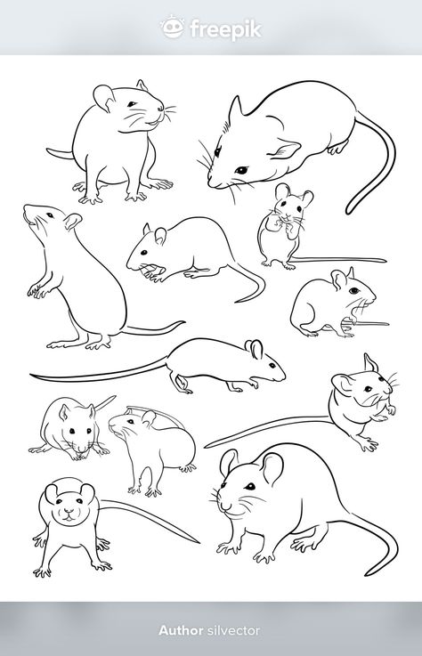 Rat Coloring Pages, Cartoon Rat, Mouse Sketch, Mouse Tattoos, Mouse Illustration, Pencil Drawings Of Animals, Mouse Drawing, Post Animal, Line Art Vector