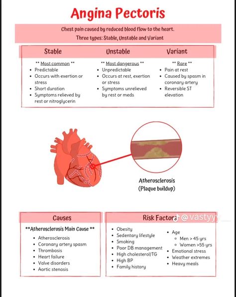 Emt Worksheets, Cardiovascular Notes, Nursing School Studying Cheat Sheets, Medical Terminology Study, Paramedic School, Nursing School Essential, Angina Pectoris, Nursing School Motivation, Basic Anatomy And Physiology