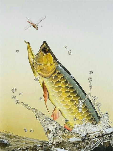 Pin by Eric Millar on Arowana | Fish art, Fish drawings, Fish artwork Arowana Fish, Oscar Fish, Ikan Air Tawar, Drawing Acrylic, Dragon Fish, Bawah Air, Fish Artwork, Illustration Board, Jellyfish Art