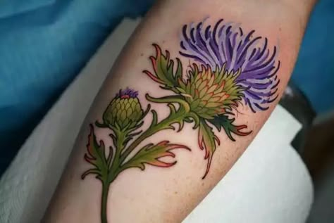 Scottish Women Tattoo, Milk Thistle Tattoo, Traditional Thistle Tattoo, Scottish Plants, Scottish Tattoos For Women, Gauntlet Tattoo, Thistle Tattoos, Scottish Thistle Art, Thistle Art