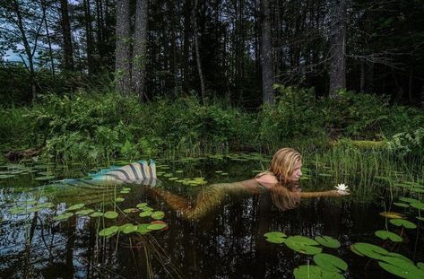 River Mermaid Aesthetic, Freshwater Mermaid Aesthetic, Mermaid In A Tank, Fresh Water Mermaid, Freshwater Mermaid, Lake Mermaid, River Mermaid, Sea Nymph, Mermaid Photography