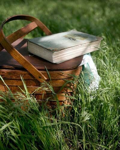 An Open Book, Company Picnic, Most Beautiful Words, Summer Afternoon, Picnic Time, Anne Of Green, Mischief Managed, Old Book, Open Book