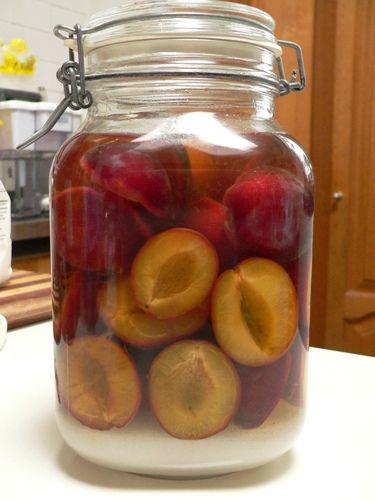 Plum Moonshine Recipes, Drunken Cherries Recipe, Plum Vodka, Cordial Recipe, Homemade Alcohol, Plum Recipes, Homemade Liquor, Liquor Recipes, Moonshine Recipes