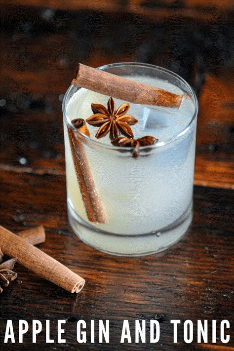 This cocktail recipe is a twist on the classic, a fall gin and tonic. Great spice garnishes perfect for fall! #gastronomblog #cocktails #cinnamon #gin #apple Gin Tonic Recetas, Cinnamon Cocktail, Craft Cocktail Recipe, Flavoured Gin, Infused Gin, Apple Cocktail, Fall Drink, Gin Recipes, Gin Drinks