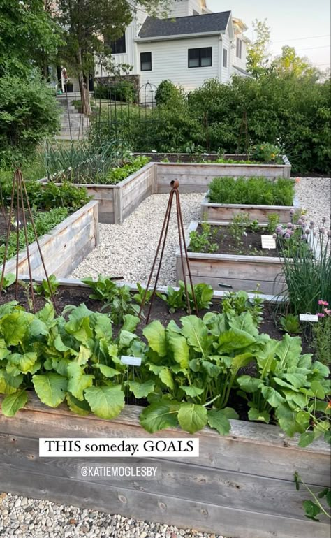 Garden Arched Trellis Ideas, Potager Garden Design Layout Raised Beds, Veg Garden Layout, Apple Tree Garden Design, Potager Garden Layout, Potager Garden Design, Modern Vegetable Garden, Beginner Garden, Scandinavian Garden