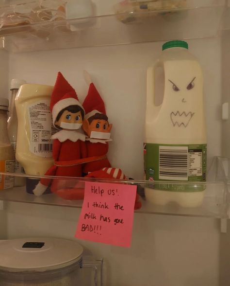 Elf On The Shelf Pet Ideas, Elf On Shelf Funny, Elf Ideas Easy, Elf Funny, Awesome Elf On The Shelf Ideas, Elf Activities, Xmas Elf, Elf Antics, Elf Fun