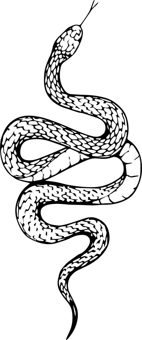 Snake Outline, Black Snake Tattoo, Small Snake Tattoo, Cobra Tattoo, Snake Coloring Pages, Snake Illustration, Snake Drawing, Grunge Tattoo, Snake Tattoo Design