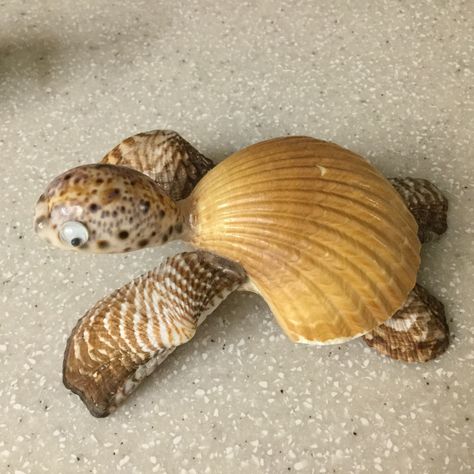 Turtle Shell Art Craft Ideas, Seashell Animal Crafts, Turtle Made Out Of Sea Shells, Shell Animals Seashells, Sea Shell Turtle, Seashell Turtle, Seashell Animals, Seashell Art Diy, Shell Turtle