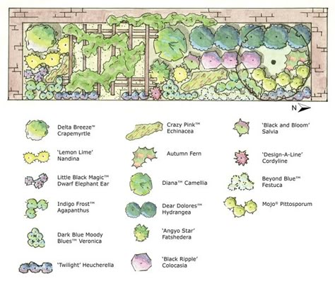 Garden plan for tackling part sun/part shade areas of your garden. Autumn Fern, Garden Plan, Planting Plan, Garden Design Layout, Crape Myrtle, Landscape Design Plans, Landscape Plans, Landscaping Tips, Landscape Projects