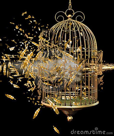 Golden Cage Aesthetic, Caged Bird Aesthetic, Woman In A Cage, Twilight Cleric, Birdcage Tattoo, Cage Tattoo, Golden Cage, Bird In A Cage, Gilded Cage