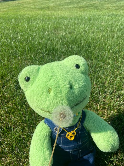 Build A Bear Frog Aesthetic, Bab Frogs, Build A Bear Frog, Frog Plushie, Build A Bear Outfits, Frog Plush, Frog Pictures, Frog Drawing, Cute Sewing Projects