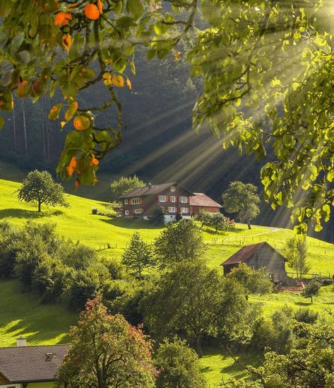 🌟🌟🌟Divine_villages 🌟🌟🌟 on Instagram: “The charm and atmosphere of villages 🏡  PHOTOGRAPHER  @amir_asani13  February 13,  2019 LOCATION #switzerland  Founder Valantis…” Switzerland Travel Guide, Morning View, Switzerland Travel, Heaven On Earth, Vacation Trips, Beautiful Landscapes, Beautiful Nature, Places To Travel, Switzerland