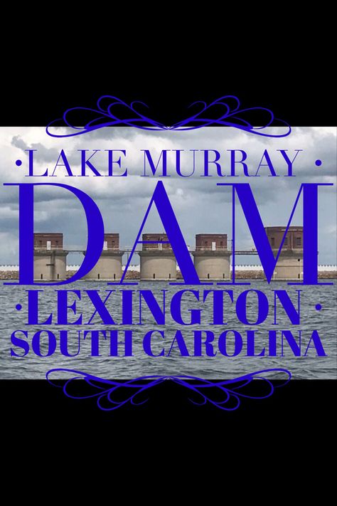 Lexington South Carolina, Picnic Spot, Travel South, Southern Wedding, Best Beer, Picnic Area, Walkway, The View, South Carolina