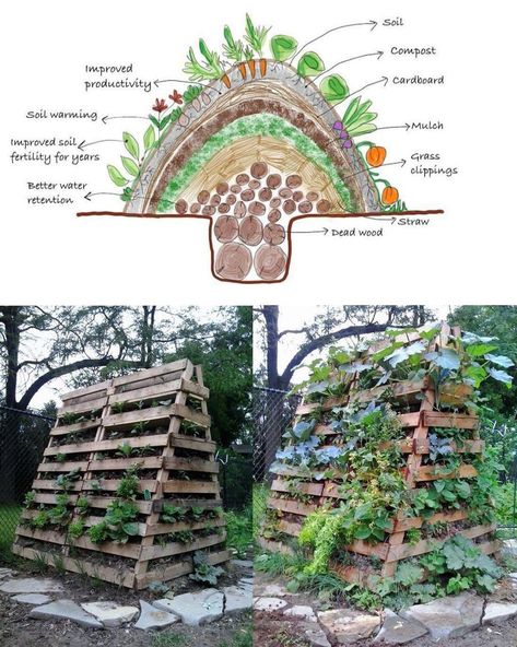 Sustainable Homestead, Plants And Gardening, Agriculture Education, Pallets Garden, Water Retention, Soil Improvement, Community Gardening, Edible Garden, Garden Crafts