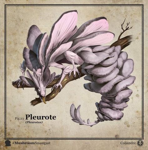 Plant Monster, Fantasy Beasts, Creature Drawings, Inspiration Instagram, Dungeons And Dragons Homebrew, Fantasy Monster, Fantasy Creatures Art, Mythical Creatures Art, Mushroom Art