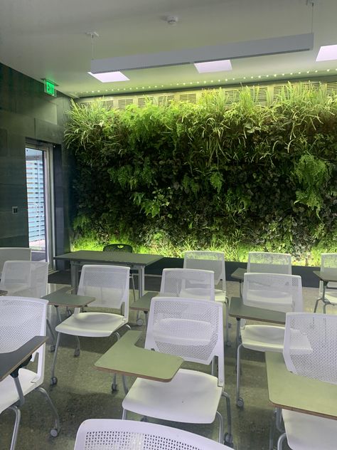 Environmental Science Classroom Decor, Environmental Science Classroom, Biophilic Classroom, Eco Brutalism, Plants On The Wall, Environmental Science Projects, Environmental Science Activities, Environmental Science Major, College Classroom