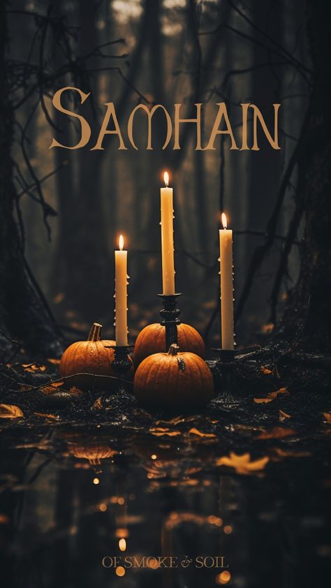 Blessed Samhain Quotes, Happy Samhain Witches, Happy Samhain Quotes, Happy Samhain Pictures, All Hallows Eve Aesthetic, Samhain Aesthetic Wallpaper, Samhain Pictures, All Hallows Eve Catholic, Samhain History