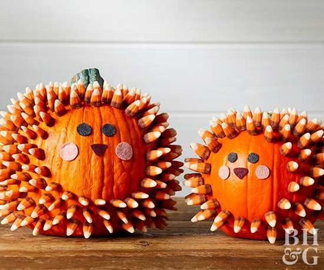 Try these easy no-carve pumpkin decorating ideas to avoid injuries and create perfect pumpkins without carving. These easy pumpkin designs will have the whole family NOT carving this year. Easy Pumpkin Designs, Pineapple Pumpkin, Pumpkins Decorated, Decorating Pumpkins, Decoupage Pumpkins, Dekorasi Halloween, Unicorn Pumpkin, Halloween Infantil, Pumpkin Decorating Contest