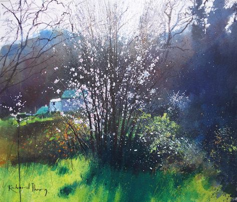 Richard Thorn Watercolors, Richard Thorn, Modern Landscape, Watercolour Art, Modern Landscaping, Painting Inspiration, Landscape Art, Art For Sale, New Art