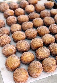 Jo and Sue: Super Easy Cake Donut Holes Cake Mix Donut Holes, Pampered Chef Donut Hole Pan Recipes, Cake Donut Holes, Easy Donut Holes, Donut Hole Recipe Baked, Baked Donut Holes, Chocolate Donuts Baked, Cake Mix Donuts, Donut Hole Recipe