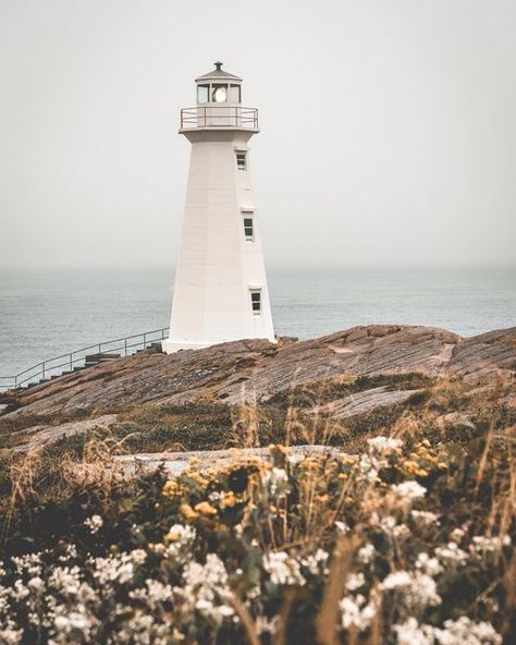 PixelPlay Prints on Instagram: "One of the many beautiful lighthouses in Newfoundland, Canada 🇨🇦 . Available as a print, shop via link in bio. . . . . #wallartdecor #prints #homedecor #kitchenwalldecor #livingroomwallart #photographyprints #kitchendecor #bedroomdecor #giftideas #wandermore #canadianlandscape #coastaldecor #coastalhome #coastalfarmhouse #wanderlust #beachvibes #beachhouse #beachdecor #landscapephotography #travellover #newfoundland #newfoundlandcanada #travelphotography #travel New England Photography, Newfoundland Lighthouses, Newfoundland Aesthetic, Newfoundland Landscape, Newfoundland Photography, Newfoundland Travel, Nautical Aesthetic, Newfoundland Canada, Cottage By The Sea